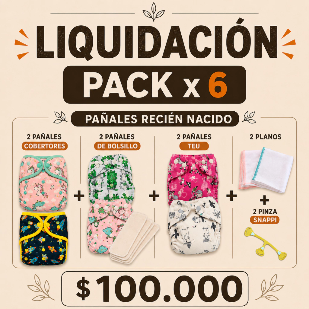 Pack x 6 Pañales RN + Absorbentes + planos + pinza snappi